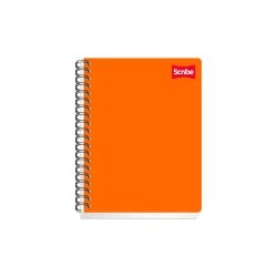 CUADERNO PROF CLASICO S2901 100 HS BCO SCRIBE