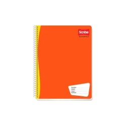 CUADERNO PROF ESCOLAR 7970 100 HS R/G SCRIBE