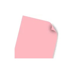 CARTULINA BRISTOL 50X65 59K ROSA UNI-BRISTOLINA